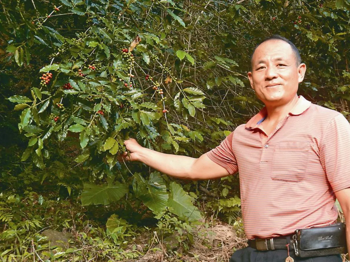 里長變咖啡達人 行銷橫路里