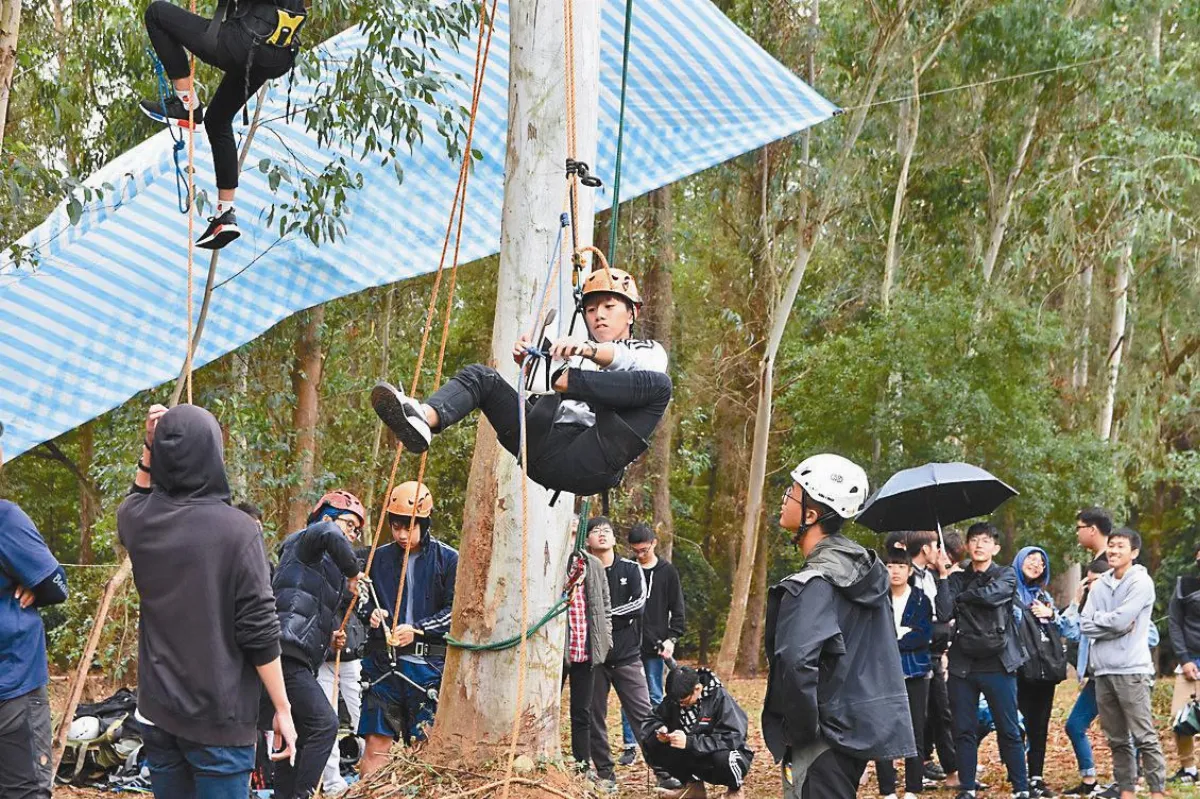 接觸大自然 南華推攀樹課