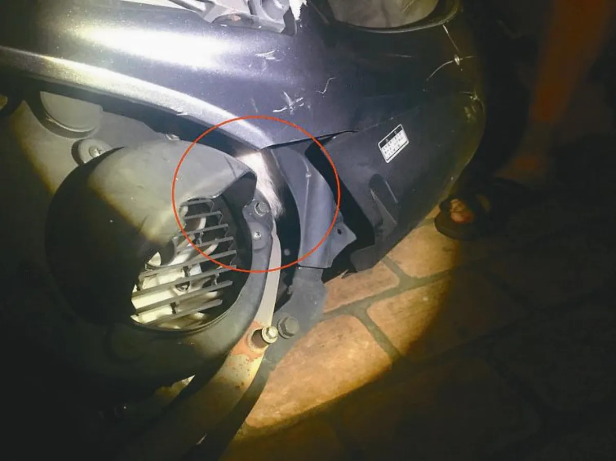 警民合作救小貓 不惜拆機車