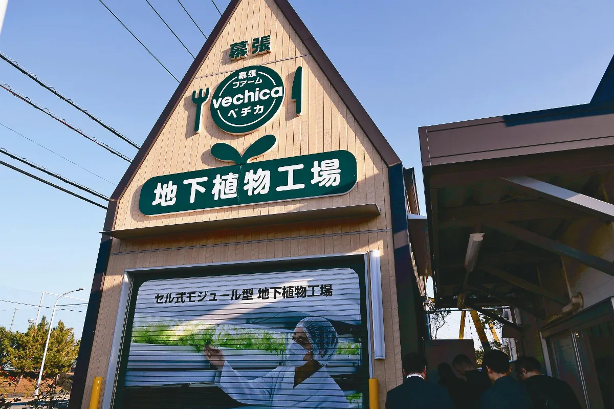 地下植物工廠 種菜全自動