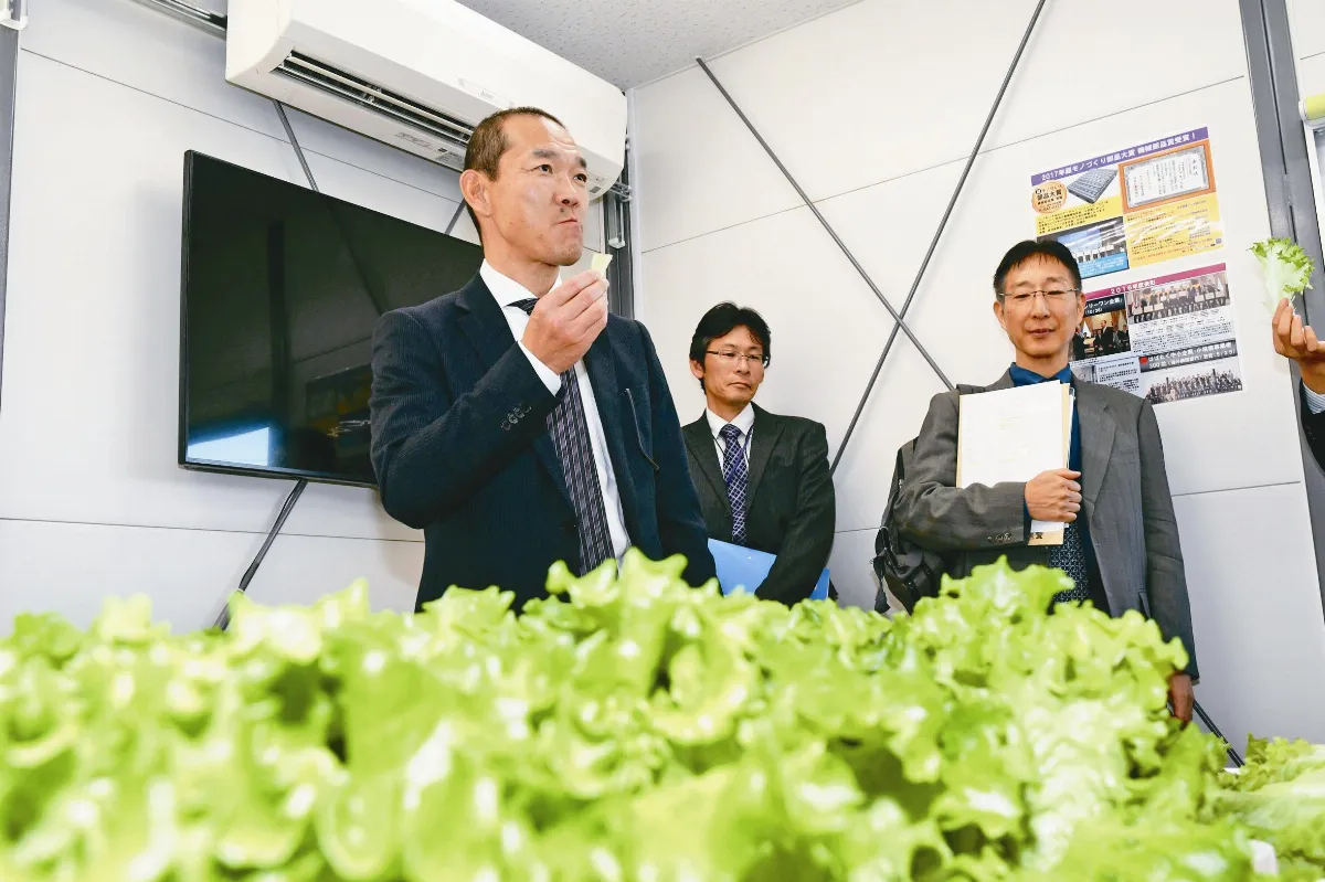 地下植物工廠 種菜全自動