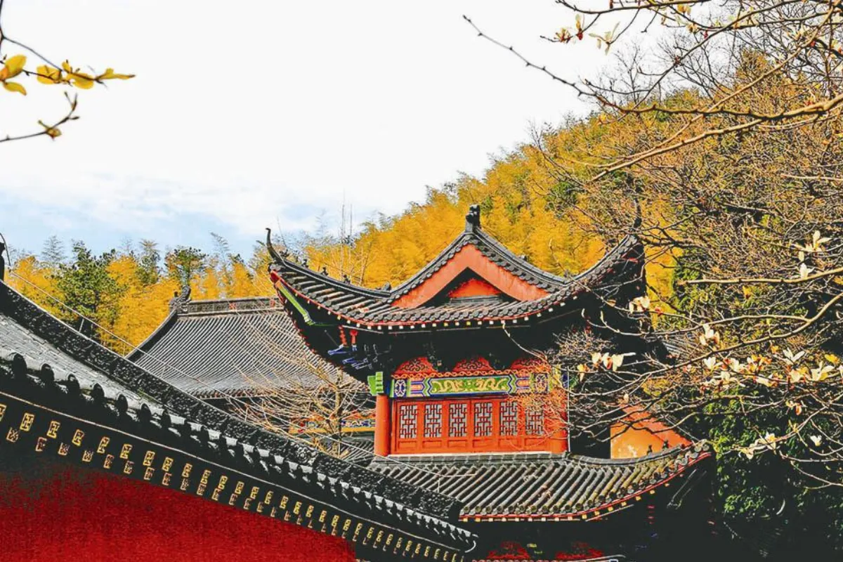佛教管理學 叢林的管理法 1 叢林的管理法