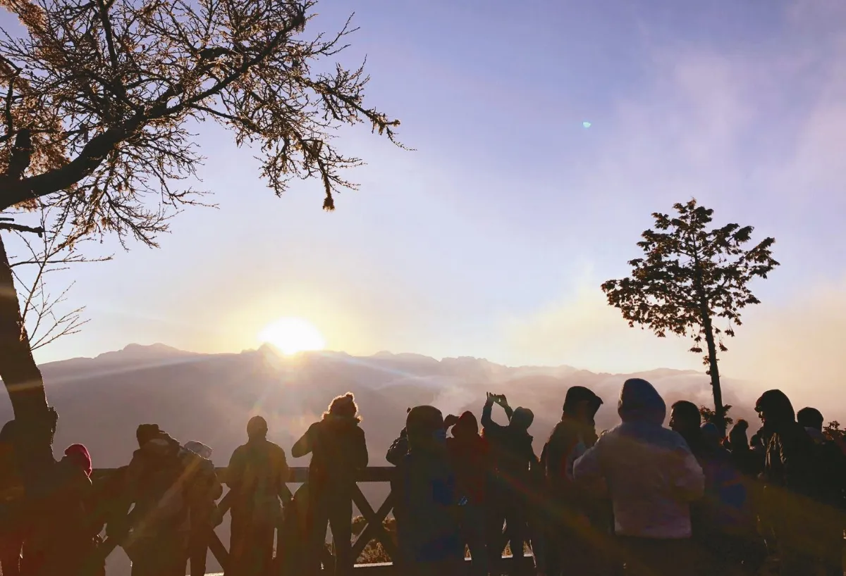 千萬旅客早達標 觀光依舊慘業