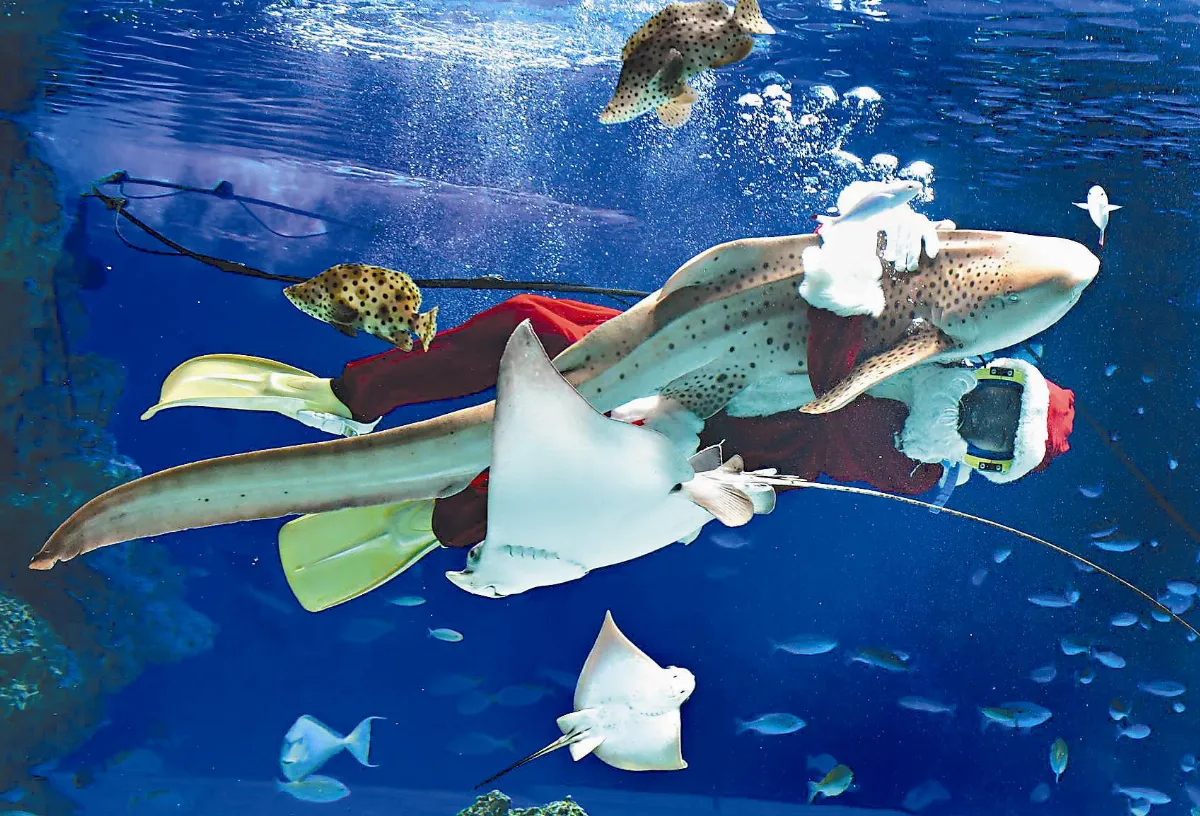 訪日遊客今年可望破3000萬人次 創新高