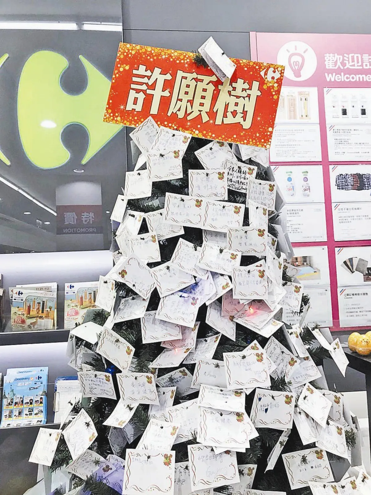 生活快門  許願樹