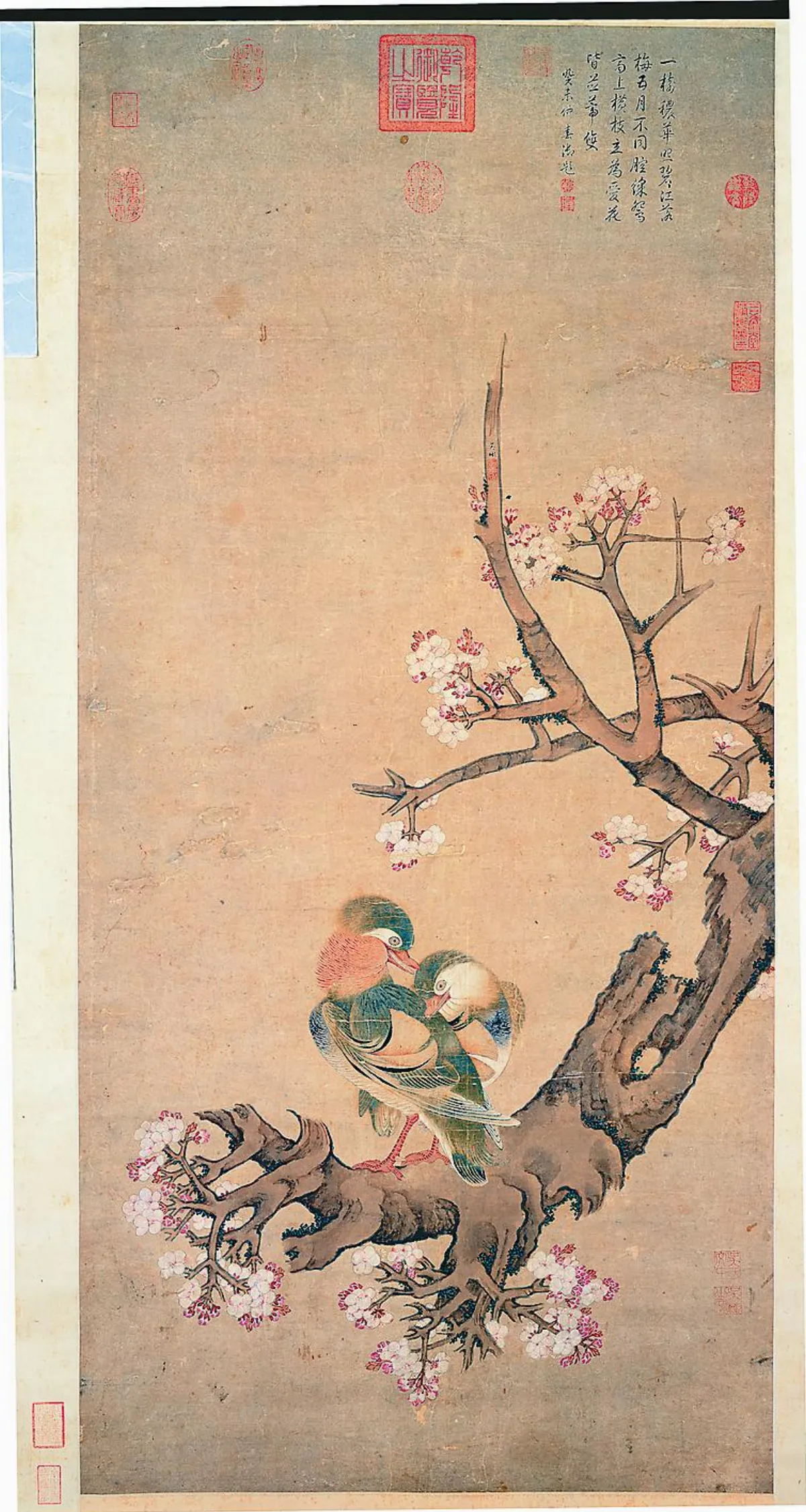 故宮來禽圖 早春花鳥和鳴