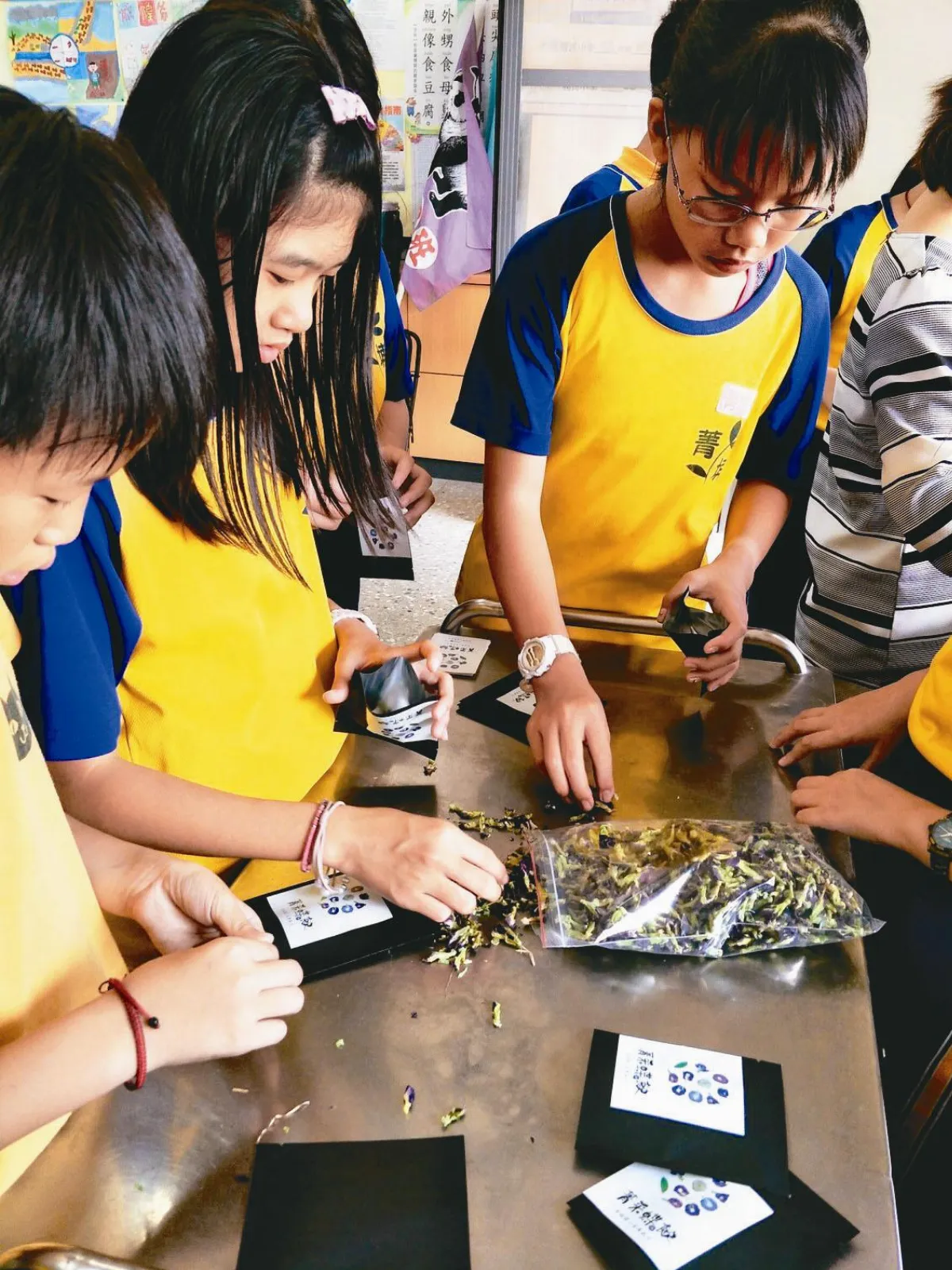 學童種蝶豆花 義賣捐老人食堂