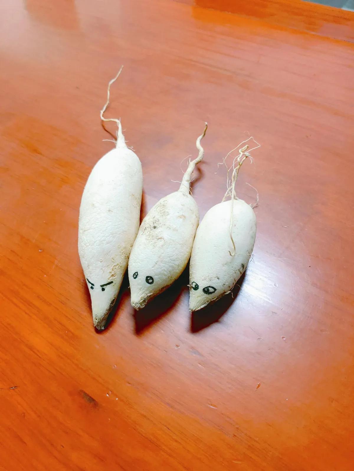 生活快門 白玉老鼠