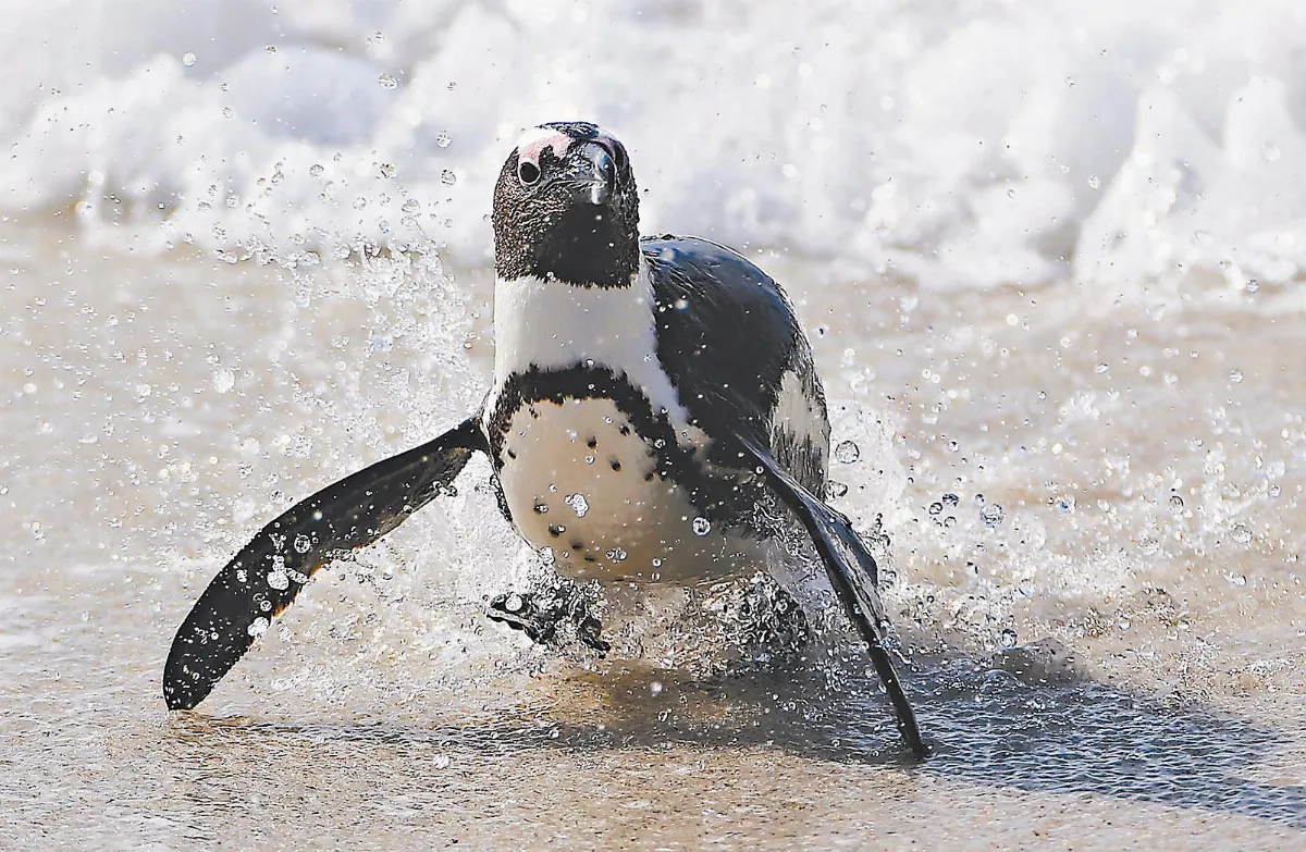 海洋吸熱 相當每秒1顆原爆