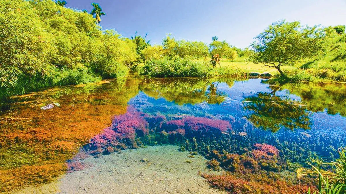 花蓮光復湧泉 美景療癒身心