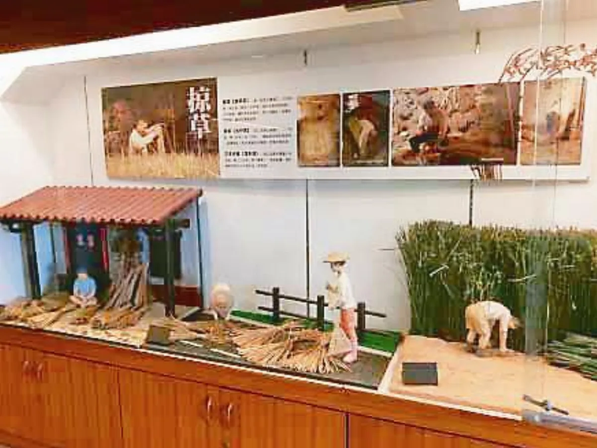 【美哉斯土】 苑裡藺草 文化館記行