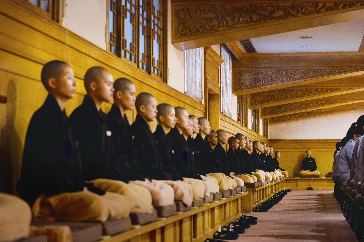 叢林風光 體證佛法 遇見更好的自己