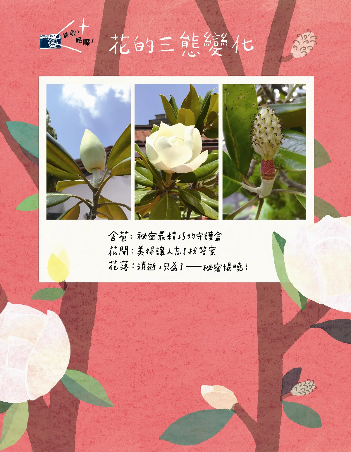 花的三態變化 摘自二○一九年二月號《未來少年》
