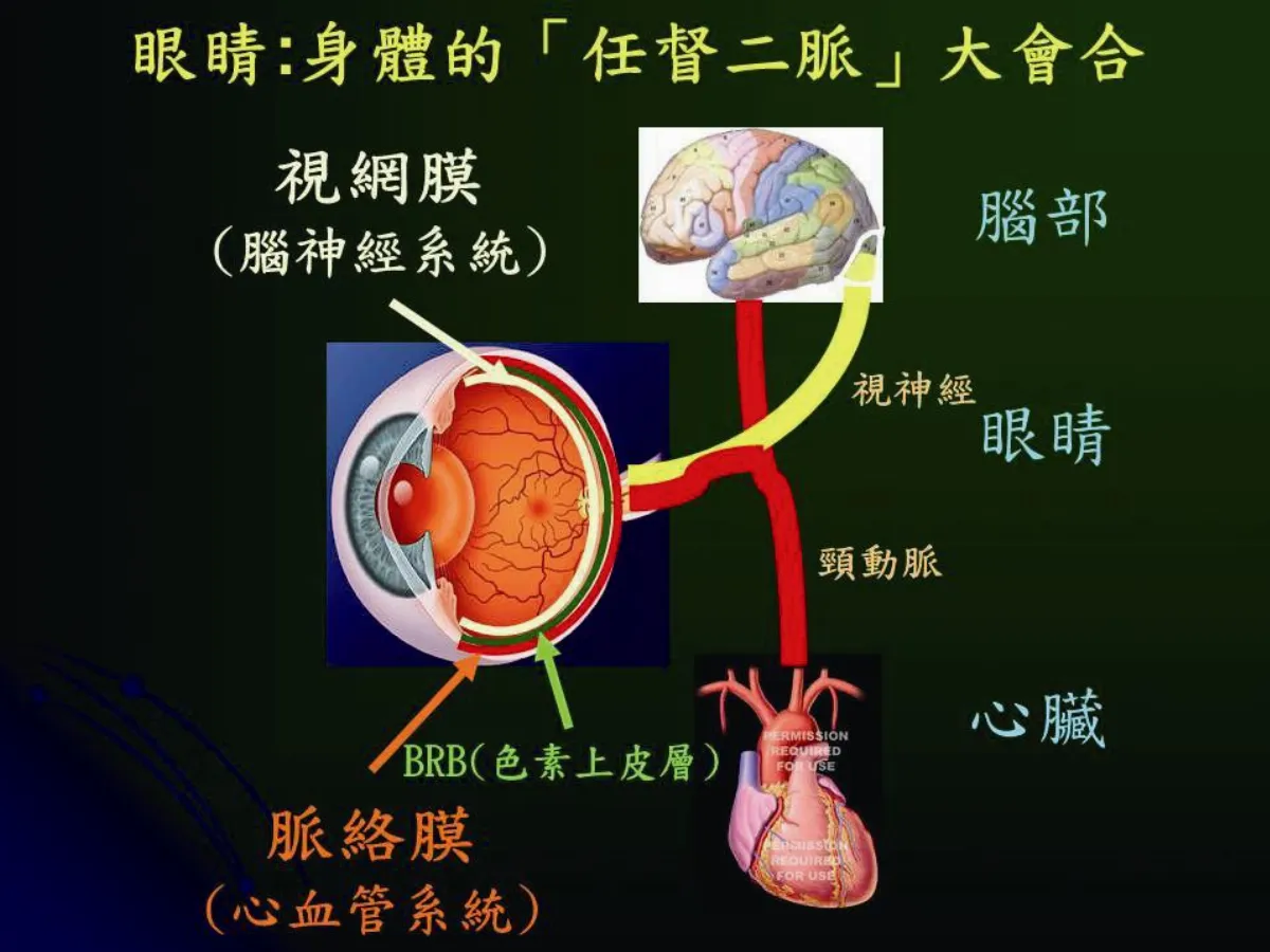 養 眼 專欄 眼睛是心血管疾病的偵測器