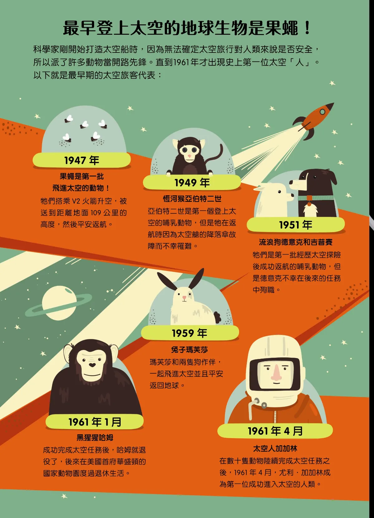 小小宇宙人