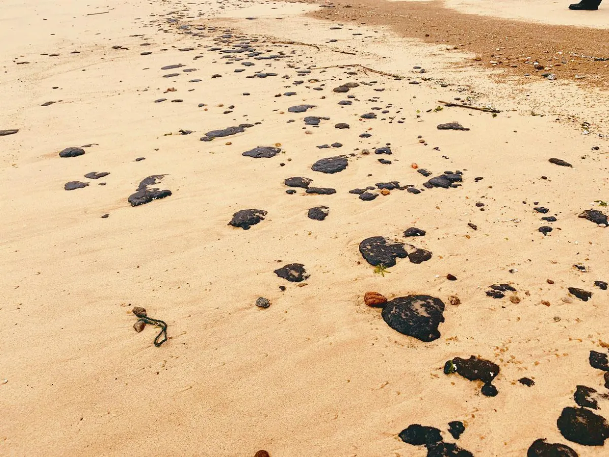 金門沙灘 驚見油汙泥