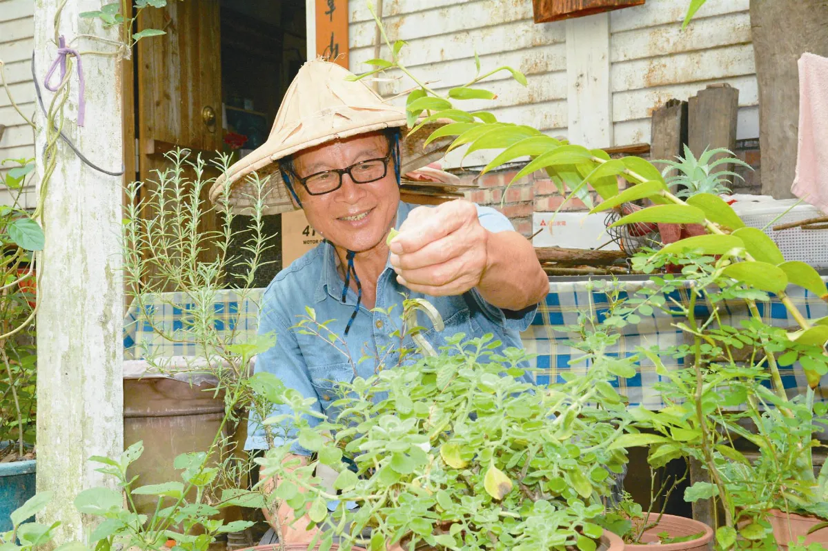土木師被蜈蚣咬傷 成草藥達人