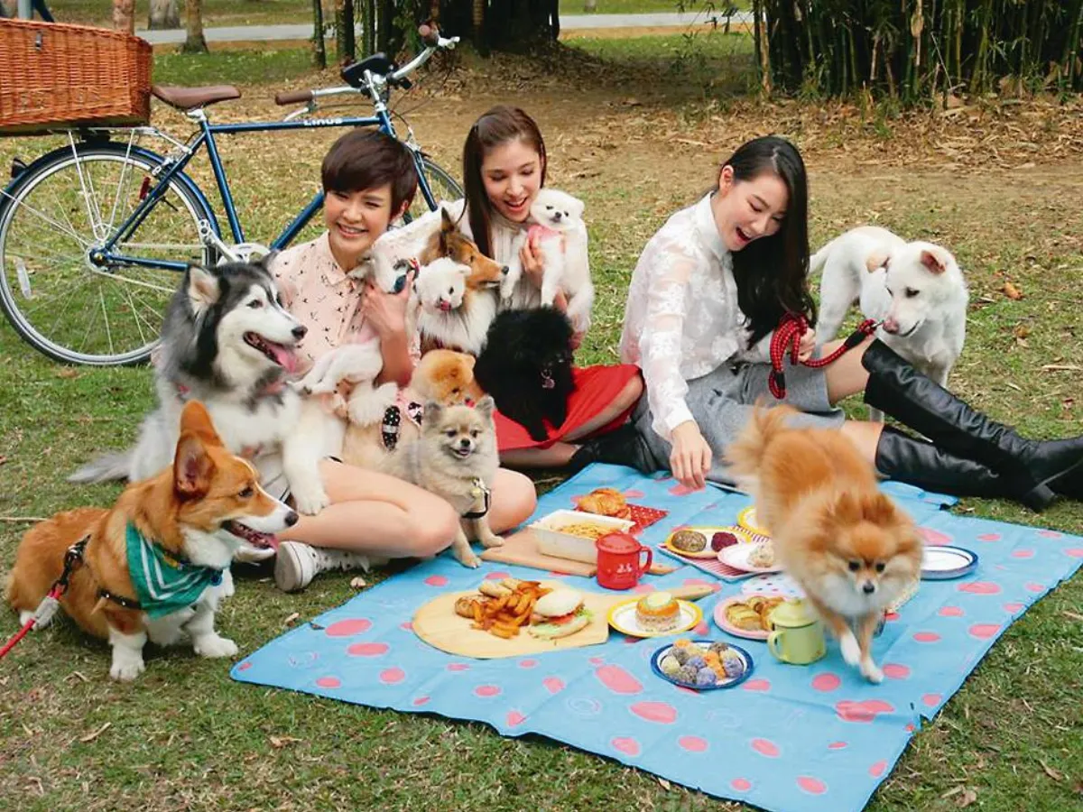 寵物一家親 十犬十美 幸福旺旺