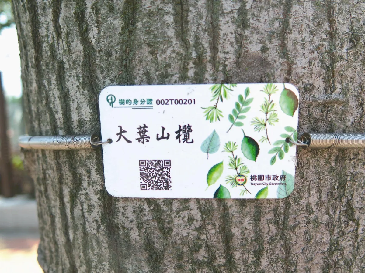 明年底升級「健保卡」 桃園普查行道樹 掛上身分證