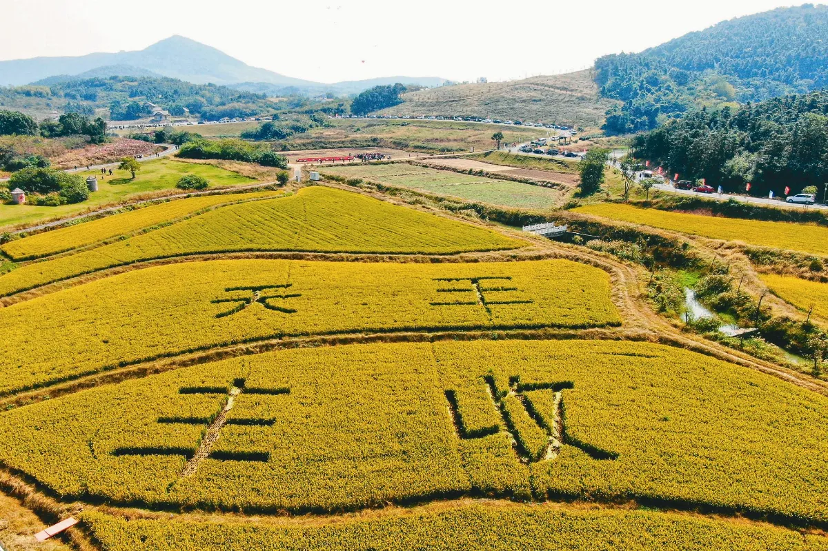 貿易談判前夕 陸外長促美合作共贏