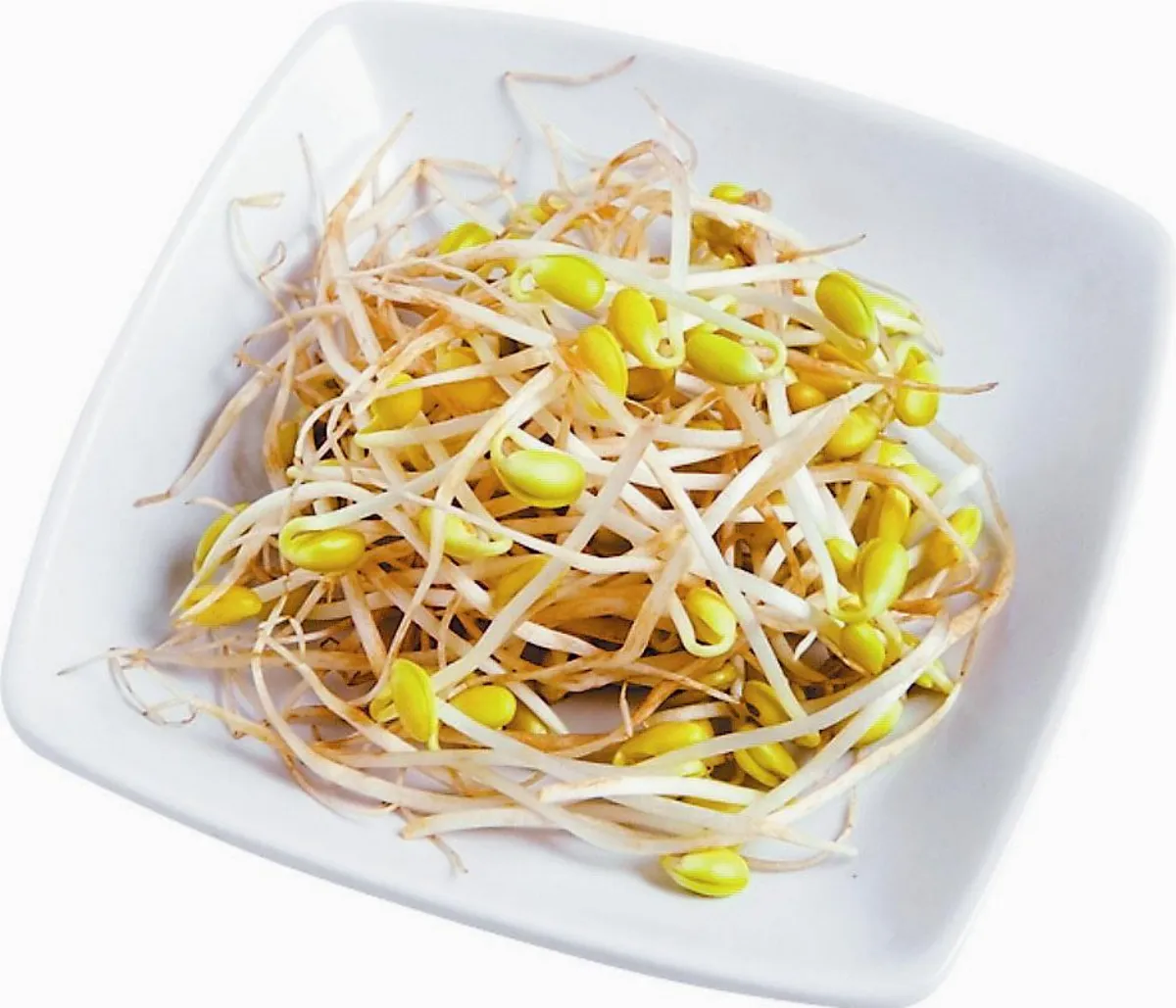 熠熠蔬果 快樂音符「豆芽菜」