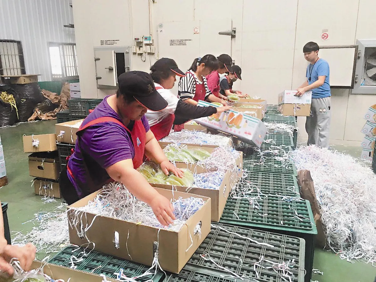 嘉義水果衝外銷