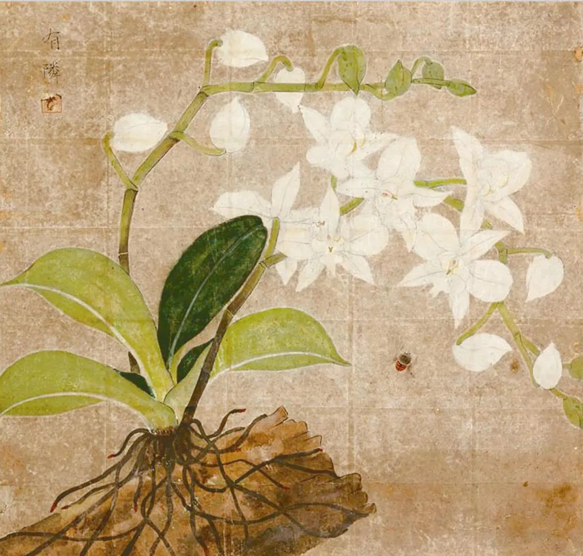 台北時光 從畫識起