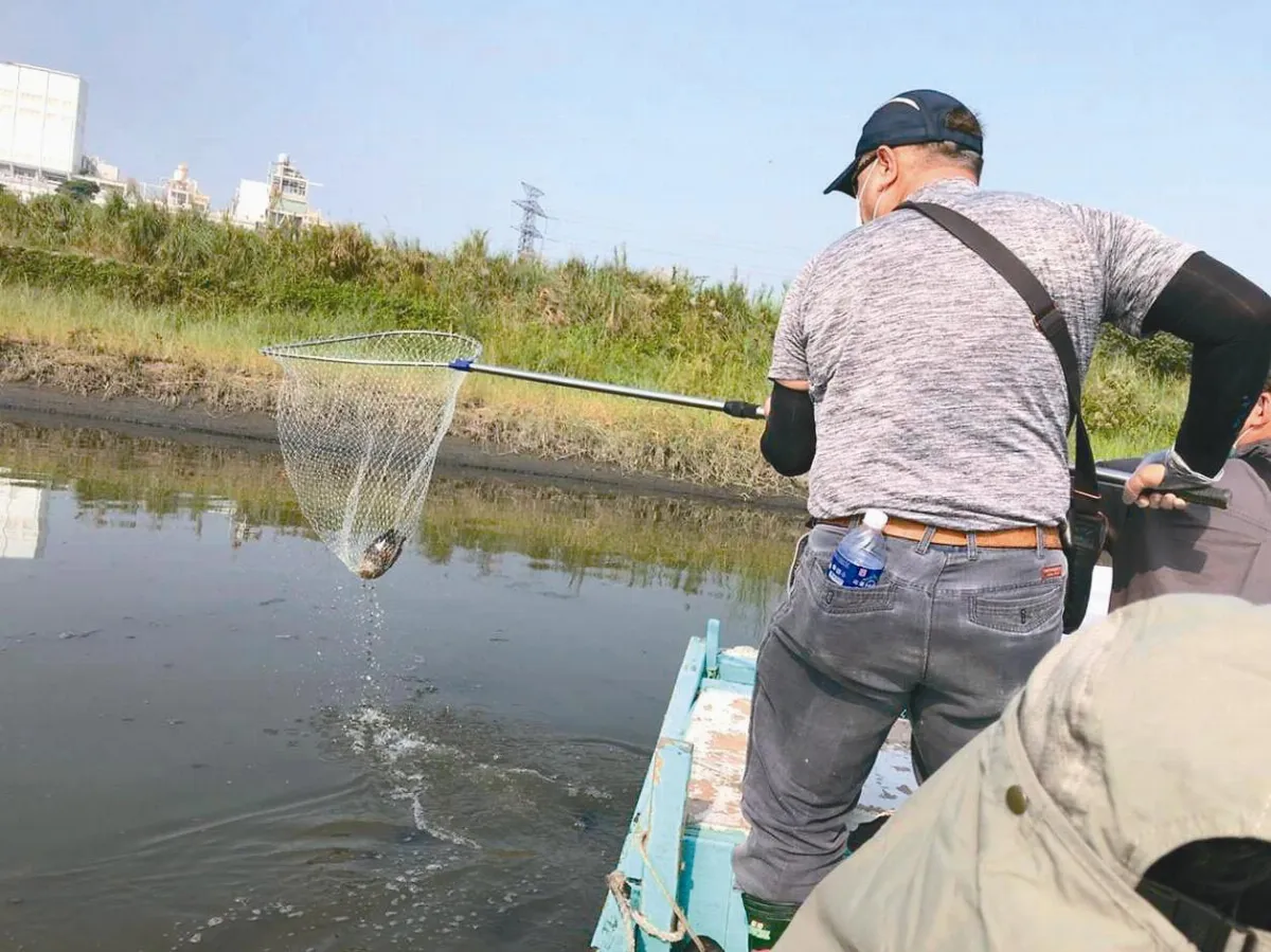 高屏溪口病死水鳥 疑感染肉毒桿菌