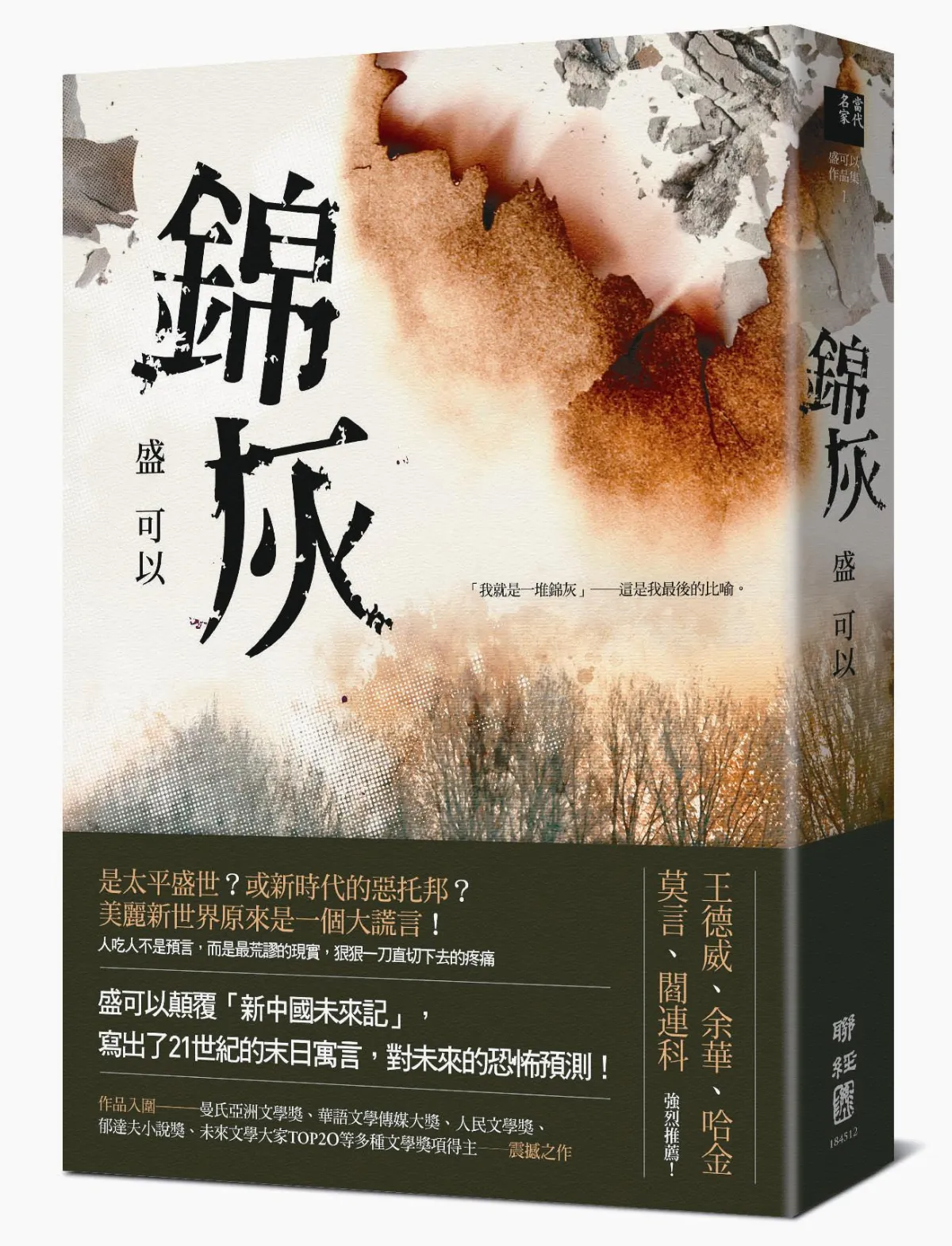 閱讀作家 盛可以 喜用比喻寫出滾燙人性