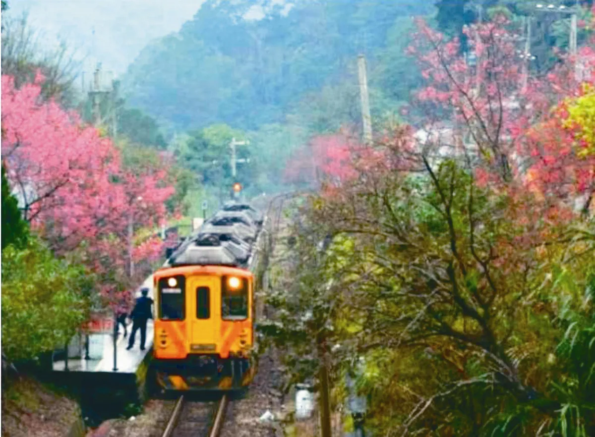 9大路線 追櫻粉色鐵道
