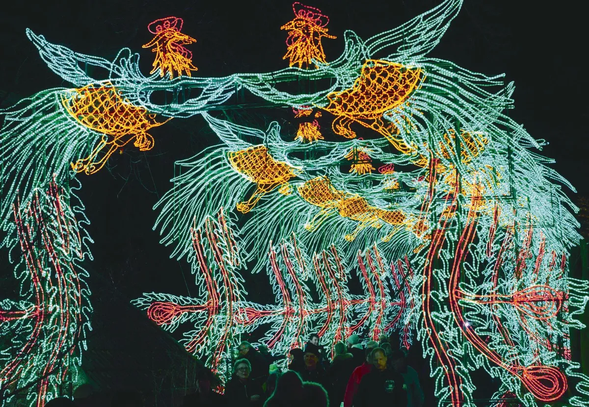 璀璨燈光展