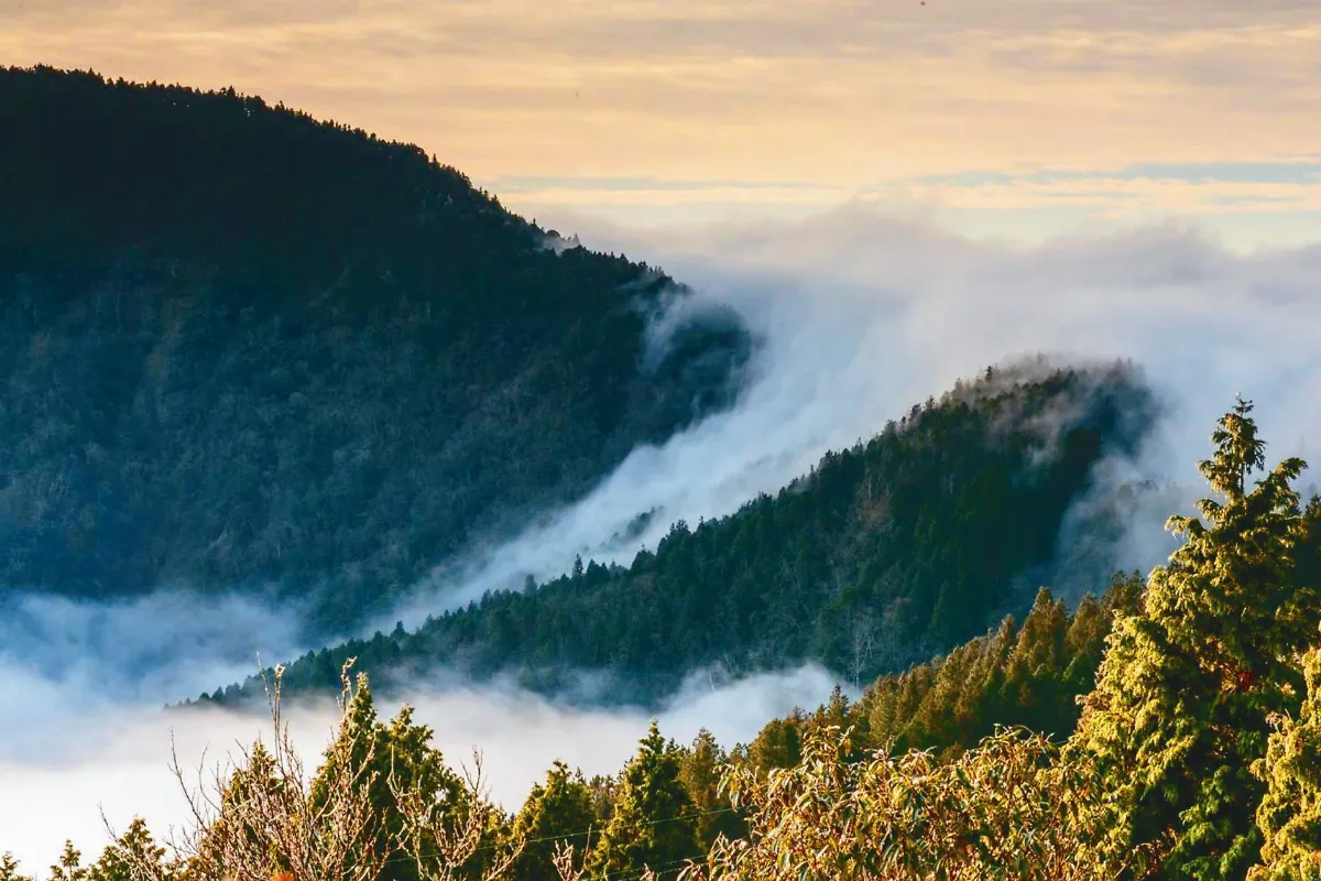 雲霧飄渺 太平山正美