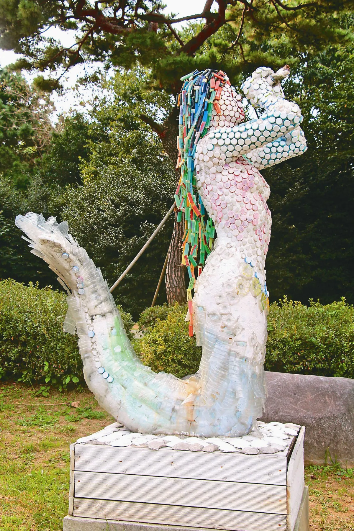 環保新創意  美人魚的自述