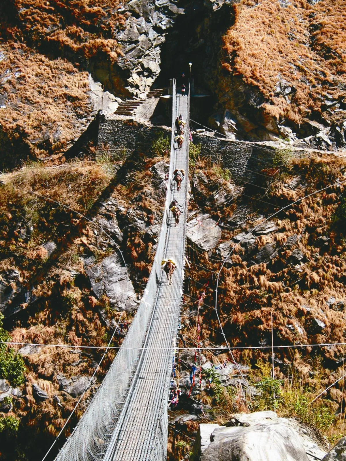旅遊攝影 橋，遇