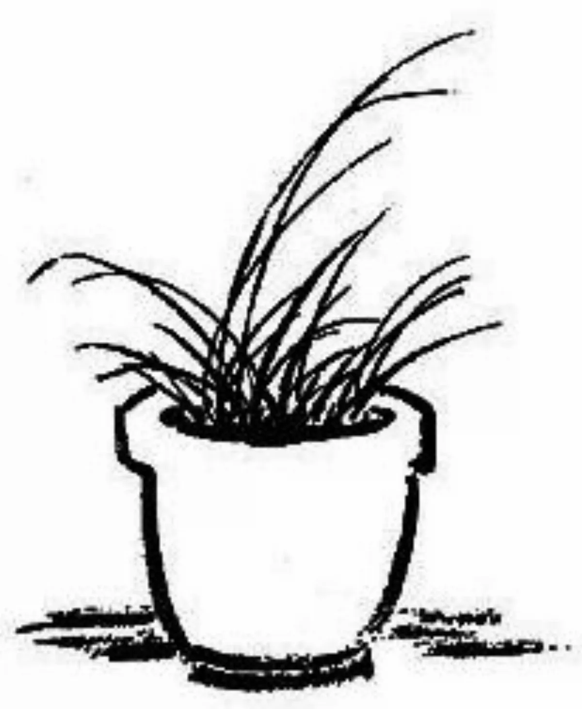 【豐子愷．護生畫集】草不知名 略似蘭