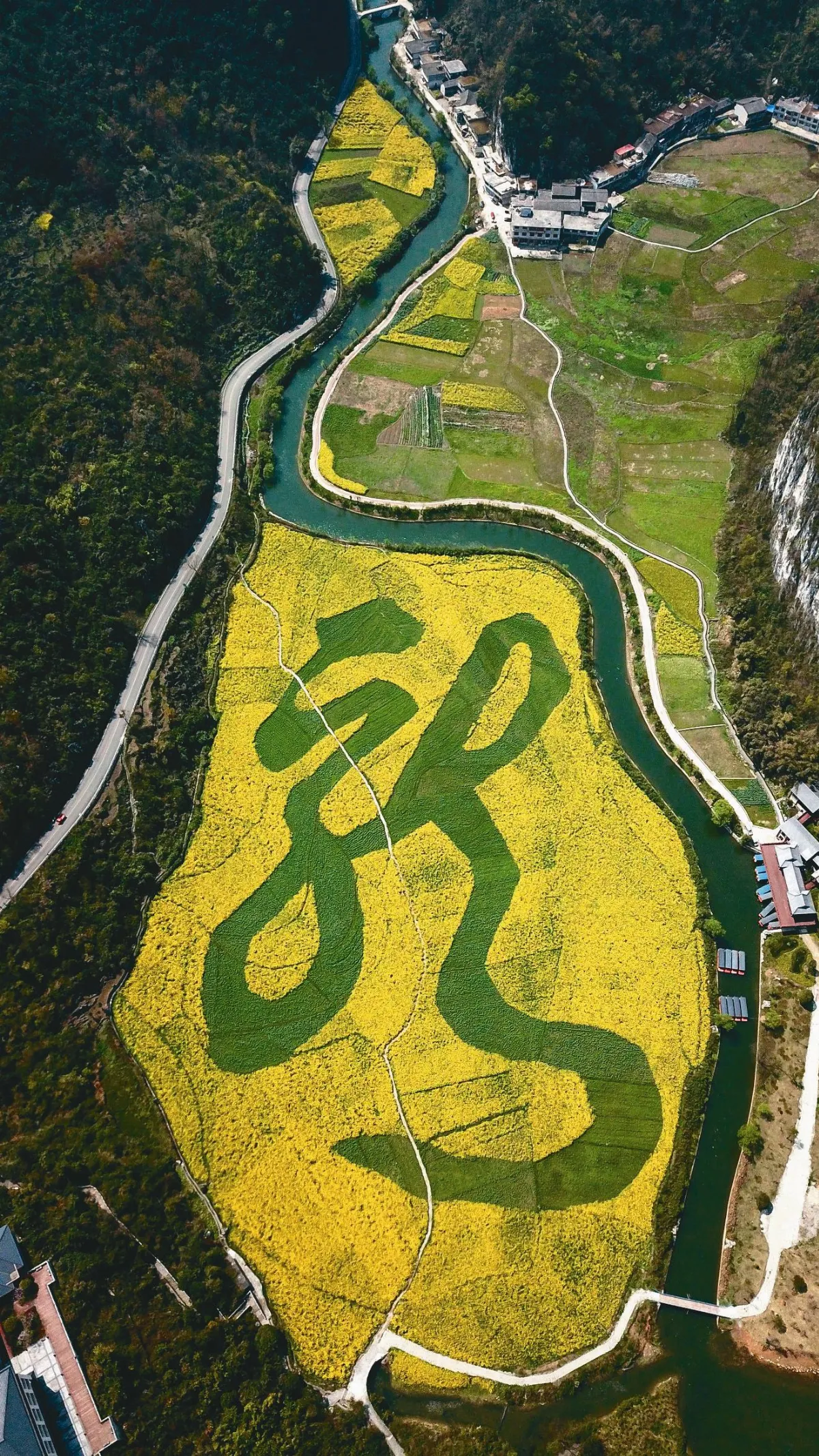 貴州「龍字田」