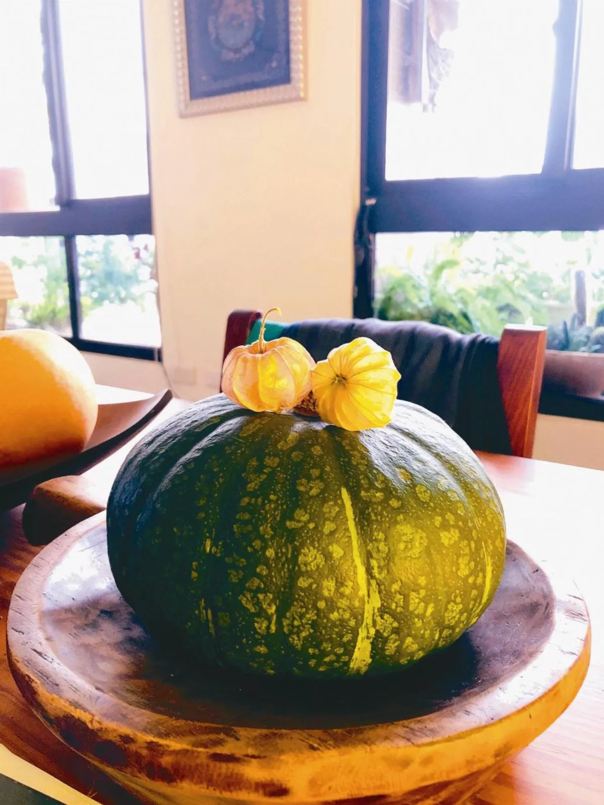 時光重逢 山海之間的燈籠果