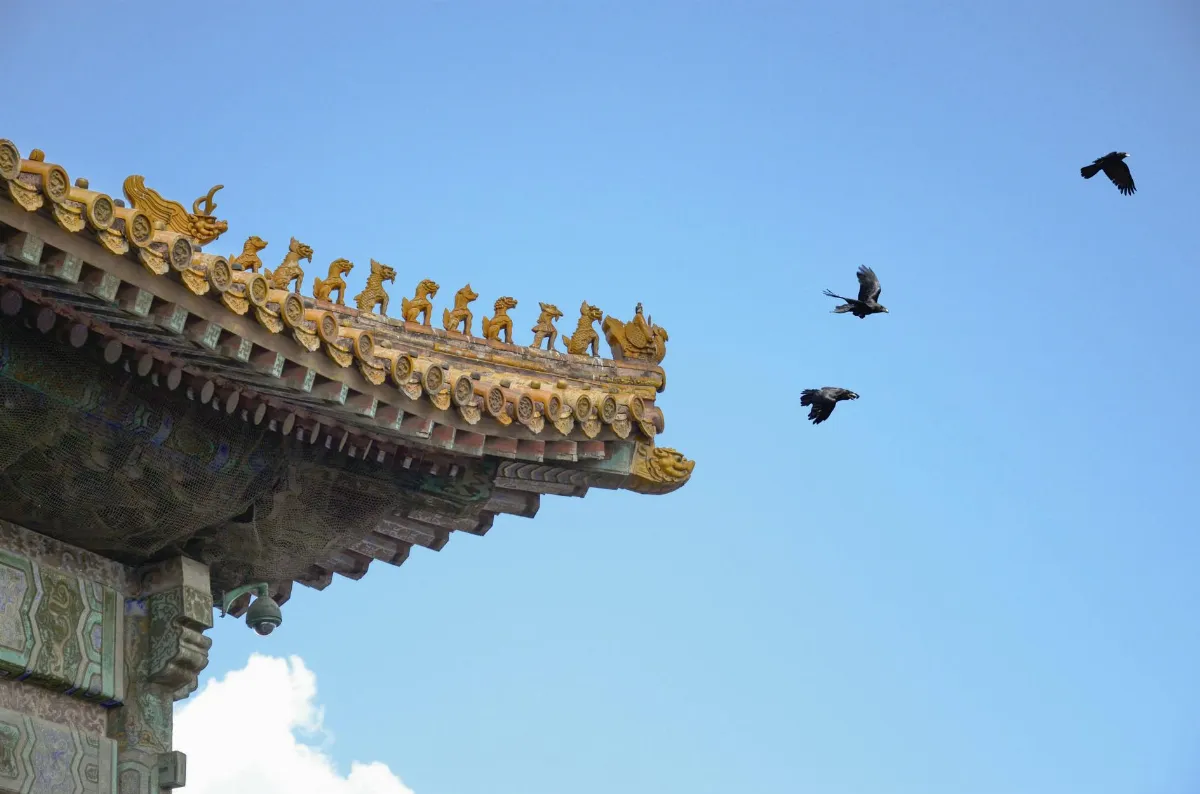 機緣品第七  問題講解❼  （八）玄策如何引導永嘉禪師和智隍禪師 歸入六祖大師的門下？