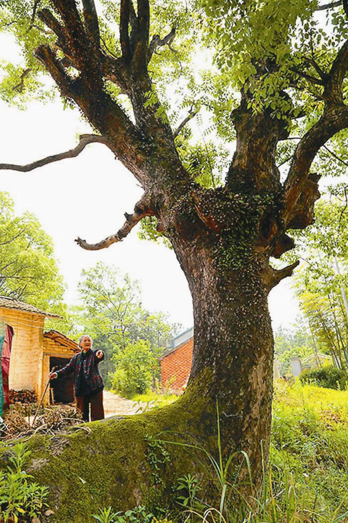【古蹟幽思】 宰相畢諴的故居