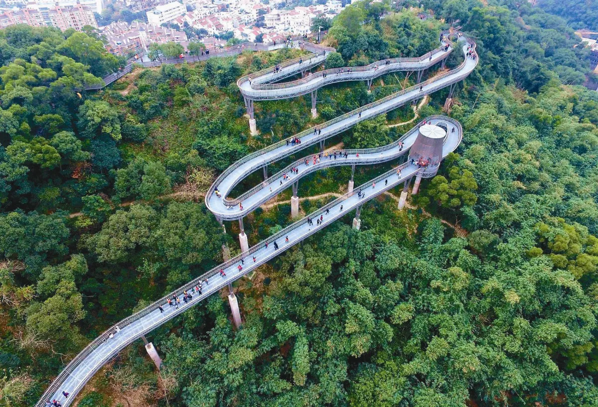 森呼吸