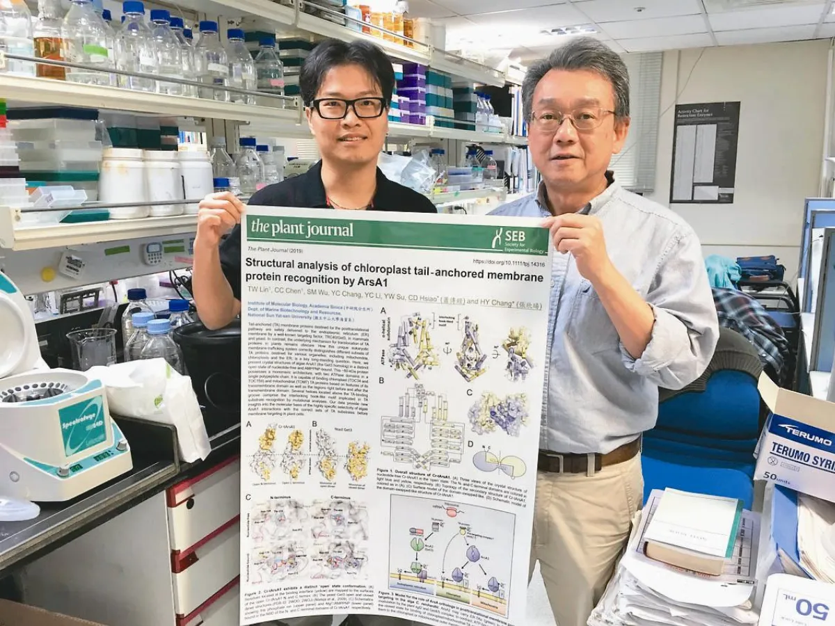 捕碳高手 學者破解綠藻之謎