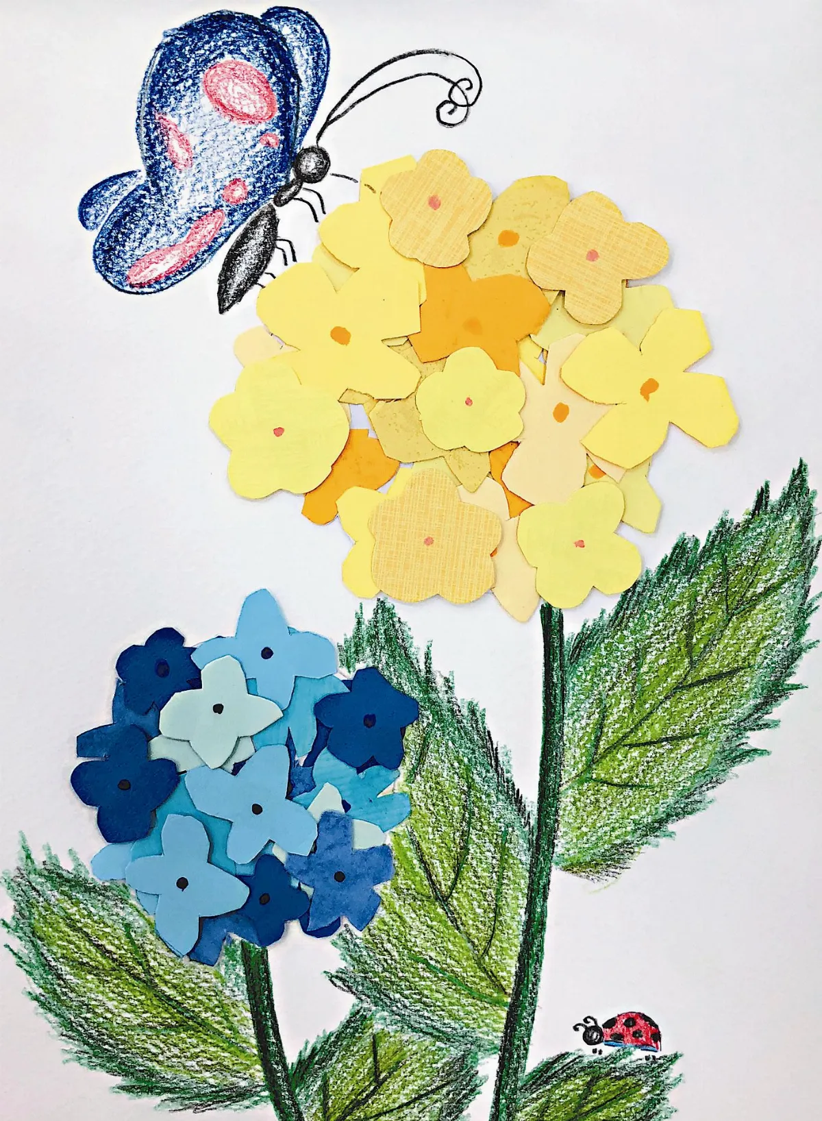小藝術家 蝴蝶採蜜
