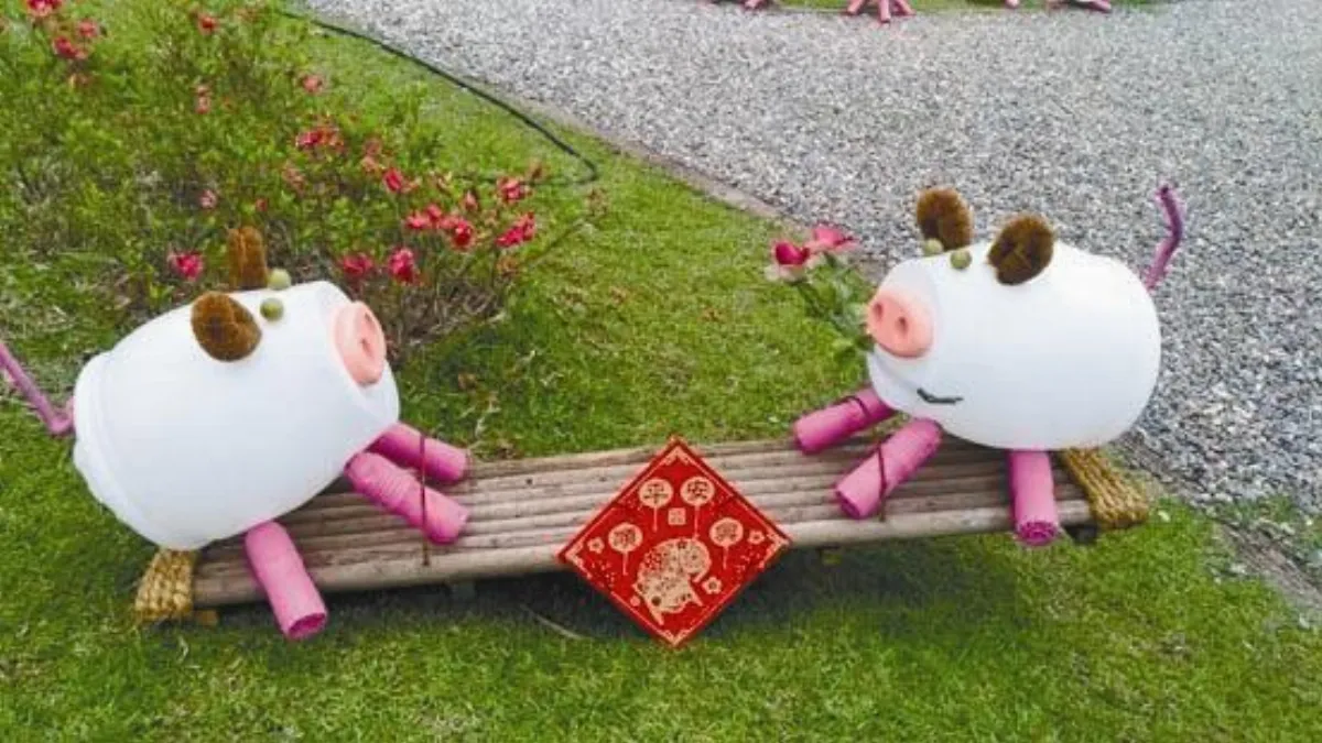 生活快門 萌小豬的前世今生