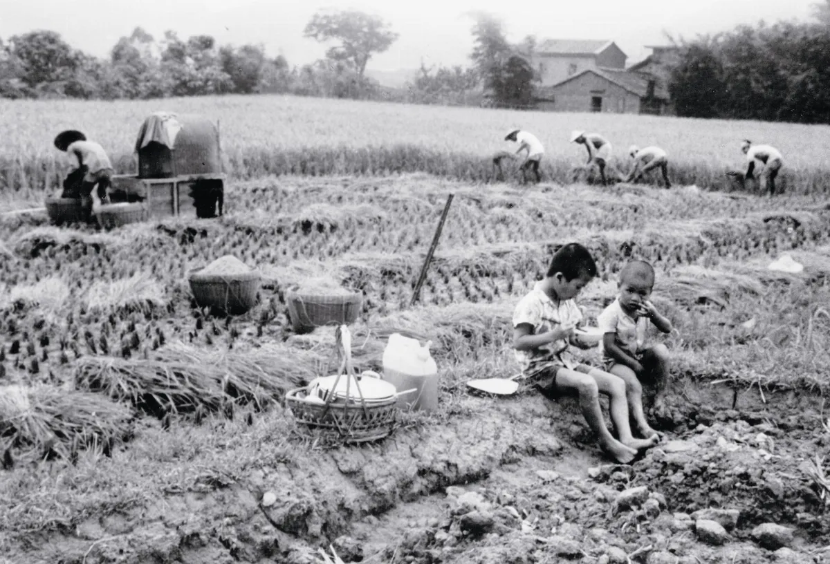 寫實美的再現──典藏台灣人文印象 1961~1980 古早童年