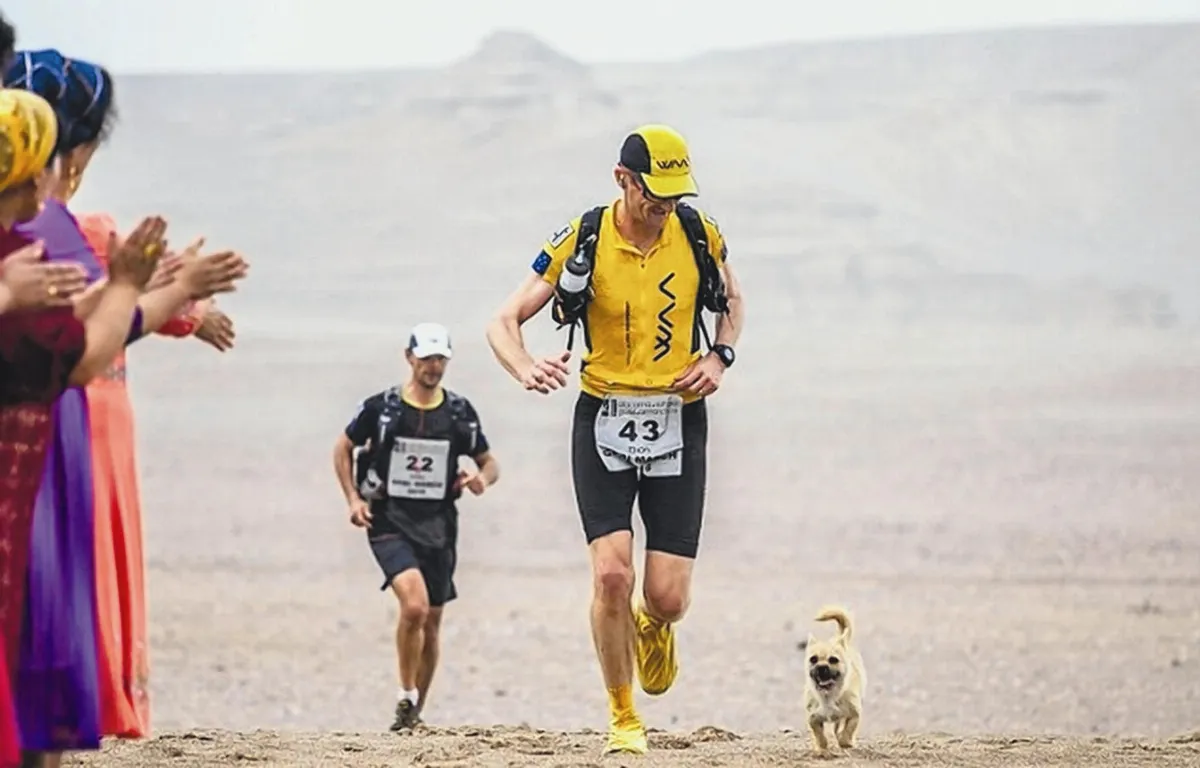 巴黎馬拉松 狗選手報到