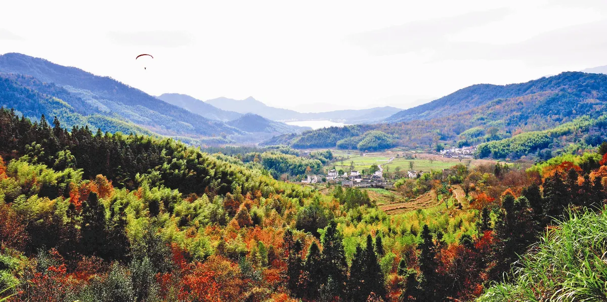 佛教對「女性問題」的看法 5 歷來傑出女性典範