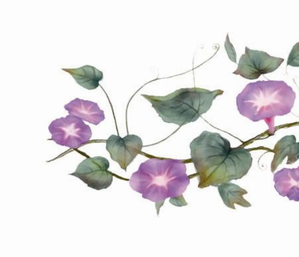 小小詩人  百花變變變