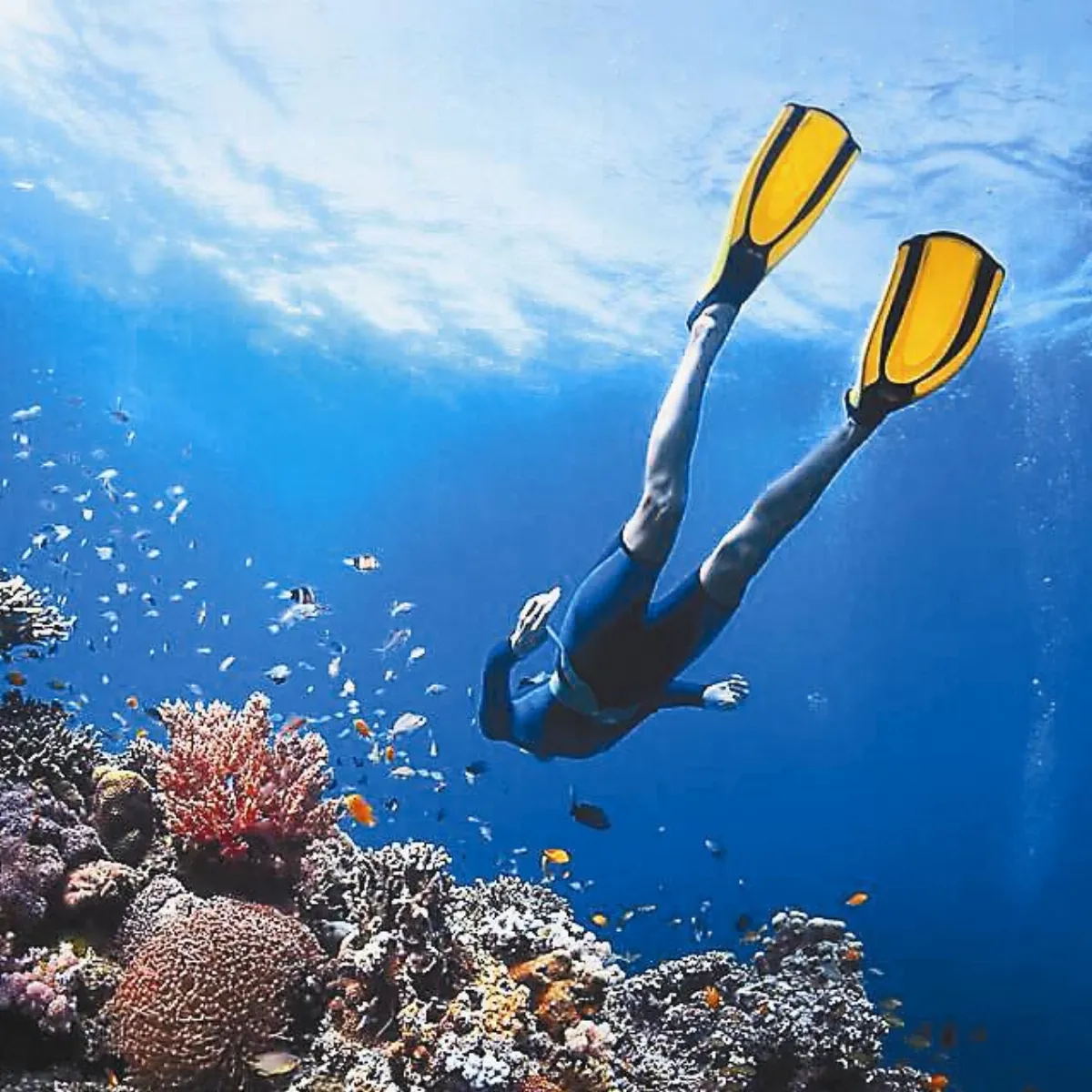 愛護海洋生物 請慎塗防晒乳