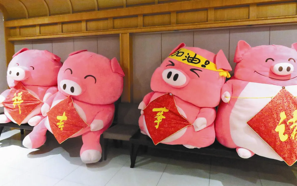 生活快門 豬事吉祥