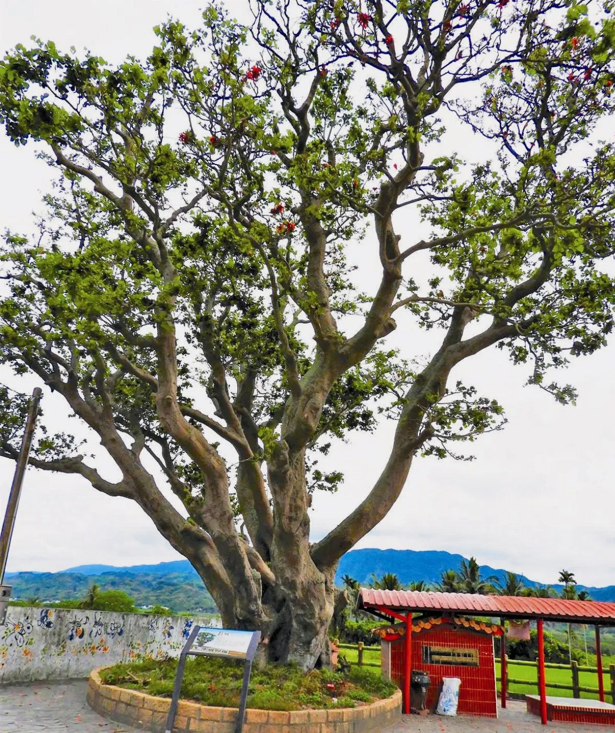 5-6月 主題徵文 旅行 舞鳳部落遊蹤
